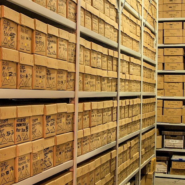 Excavation finds in archaeology store