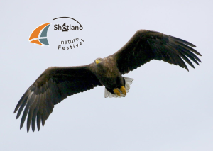 Talk by Ian Tait - The Eagle's Last Stonghold - Shetland's guilt in a national extinction