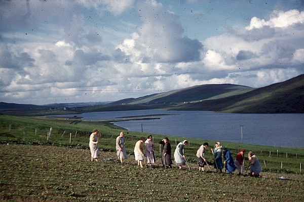 A reminiscence of a traditional Shetland wedding