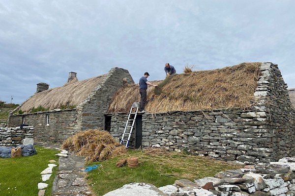 Bold new art exhibition celebrates Shetland nature