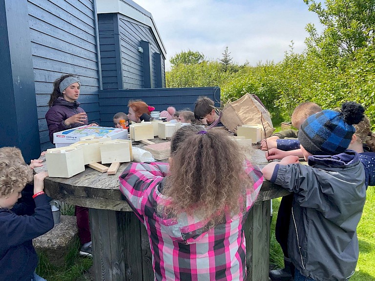 Learning more about the different types of insect refuges and colour schemes with our Woodlands Development Coordinator, Solene Giraudeau-Potel