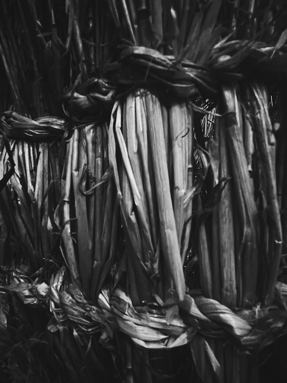 Straw Crafts Club Update