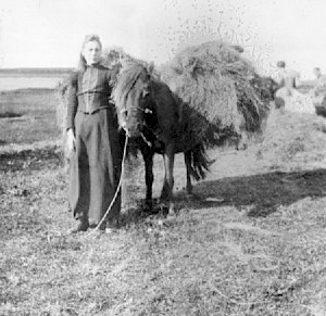 Shetland's Crofting Past: A Tour