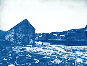 Cyanotype Workshop (P5-S2)