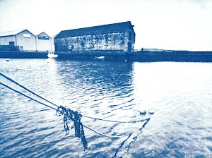 Cyanotype Workshop (Adults) - SOLD OUT