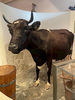 Museum Crofting Tour